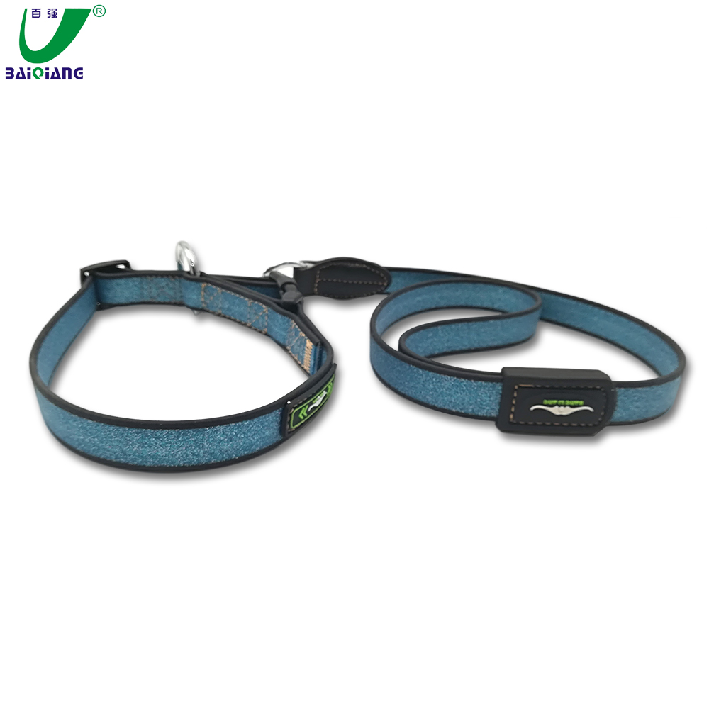 plastic dog leash