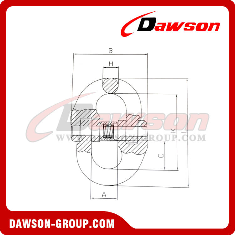 G100 European Type Connecting Link - Dawson Group Ltd. - China Supplier
